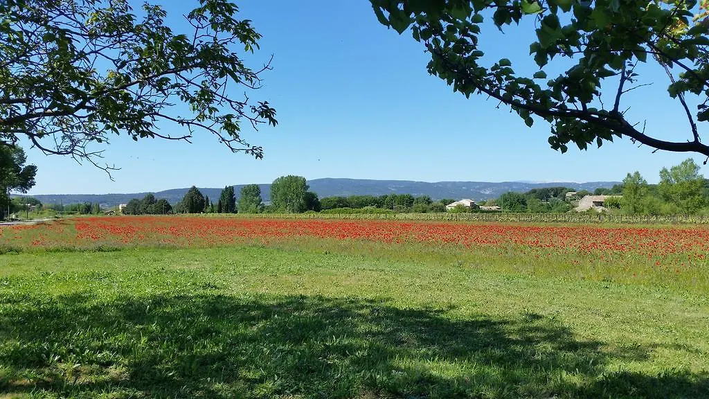 Le Jardin D'Ivana Chambres D'Hotes B&B Avec Piscine Chauffee Oppède Γαλλία