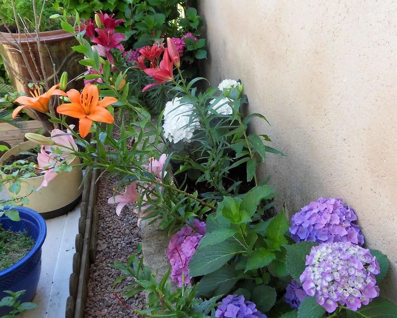 Le Jardin D'Ivana Chambres D'Hotes B&B Avec Piscine Chauffee Oppède